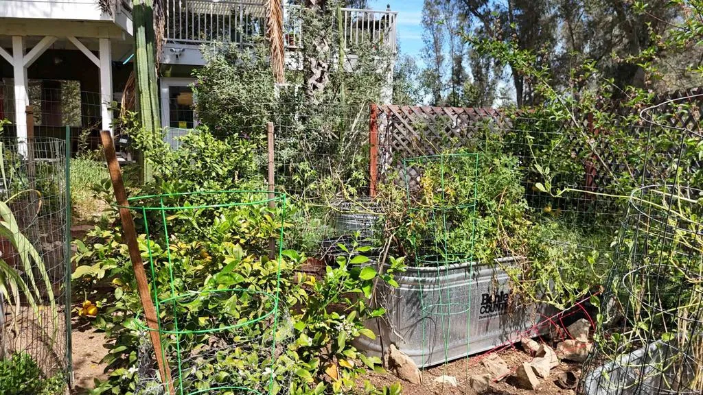 main property photo 41