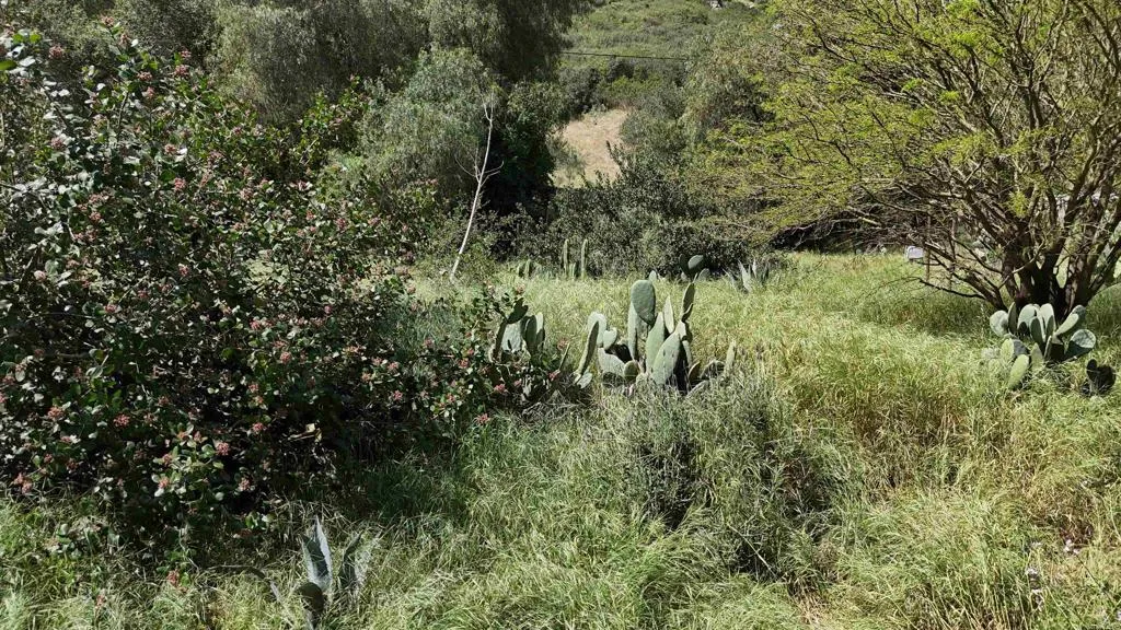 main property photo 45
