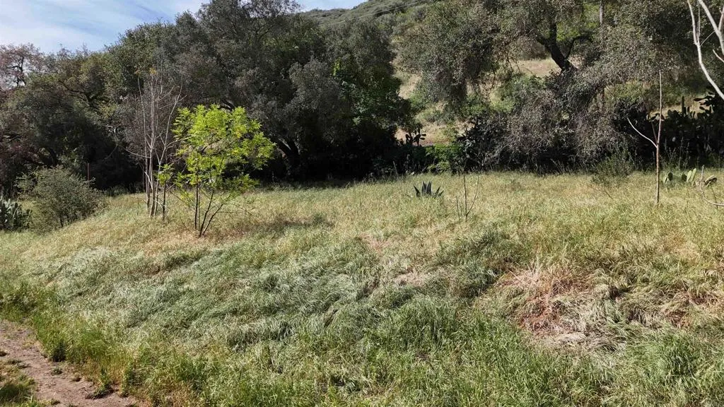 main property photo 46