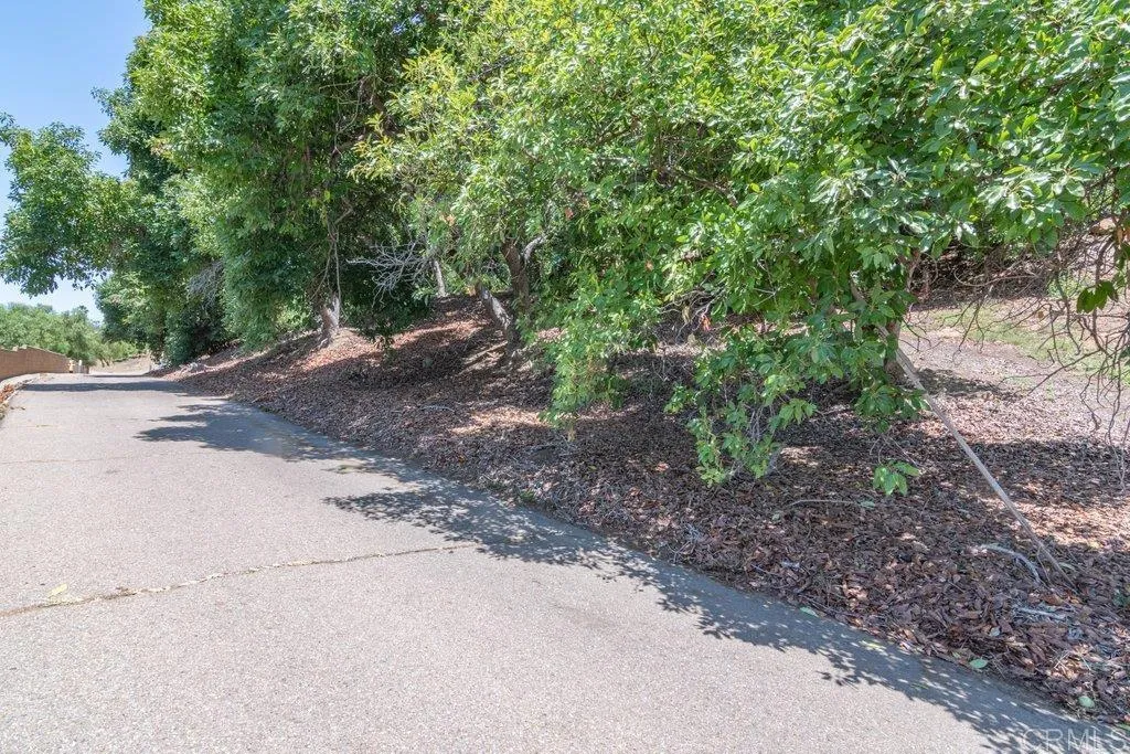 main property photo 18
