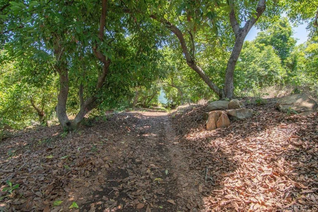 main property photo 52