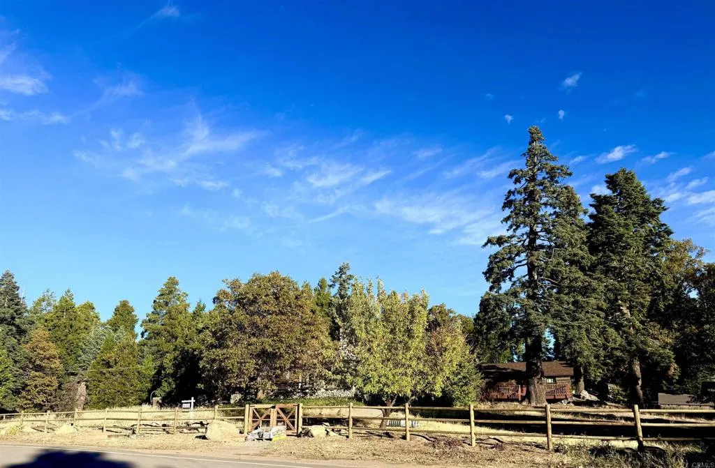 main property photo 54