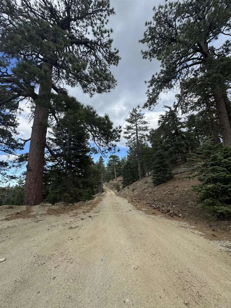 main property photo 67