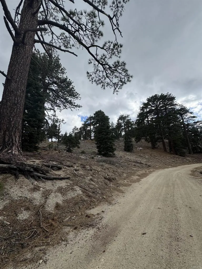 main property photo 68