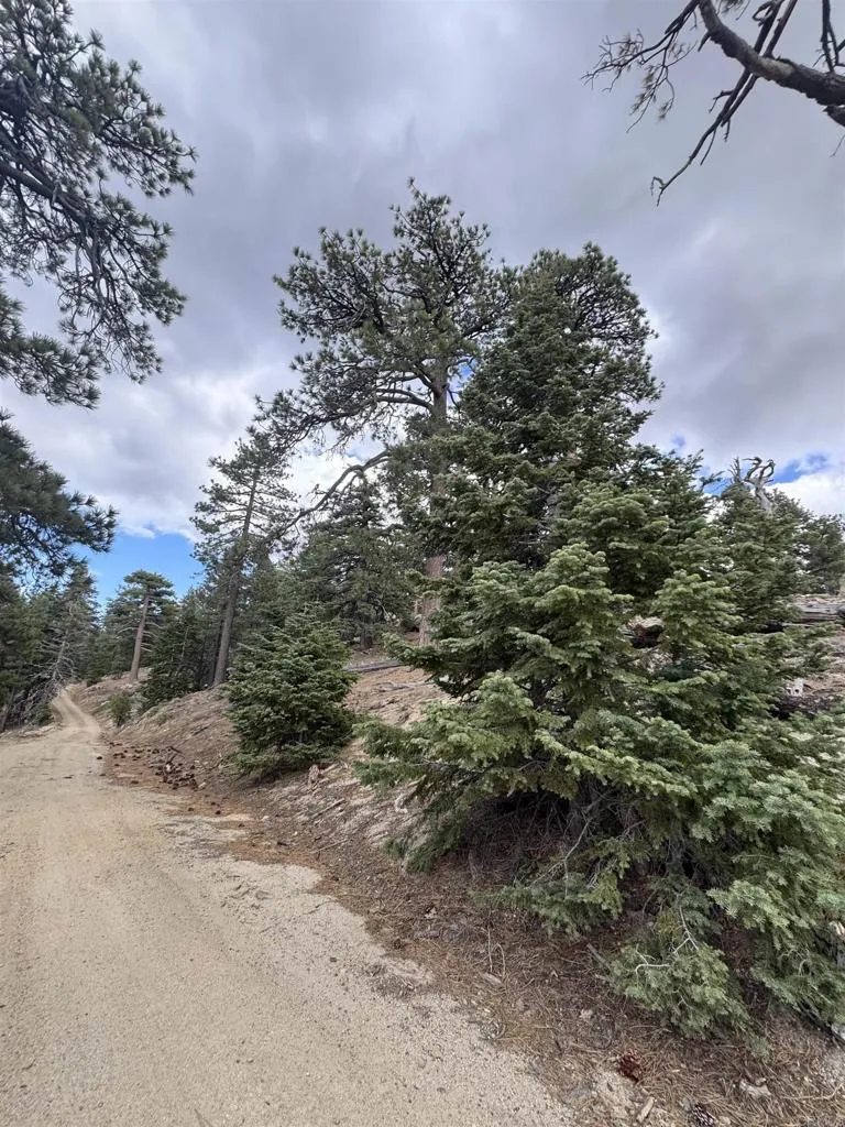 main property photo 69