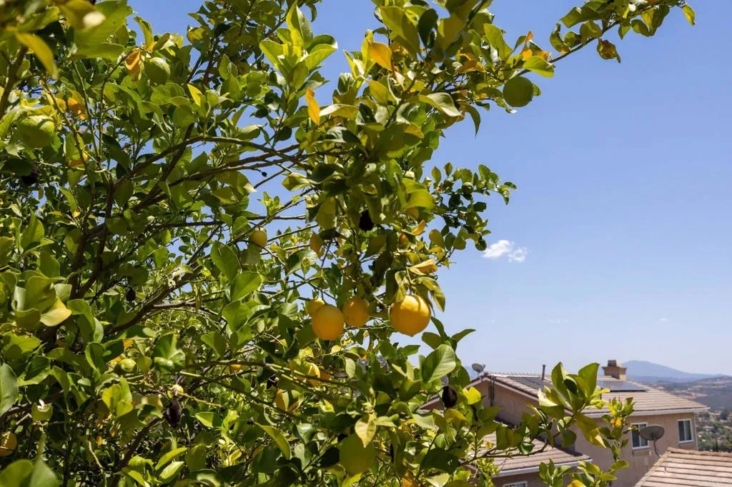 main property photo 63