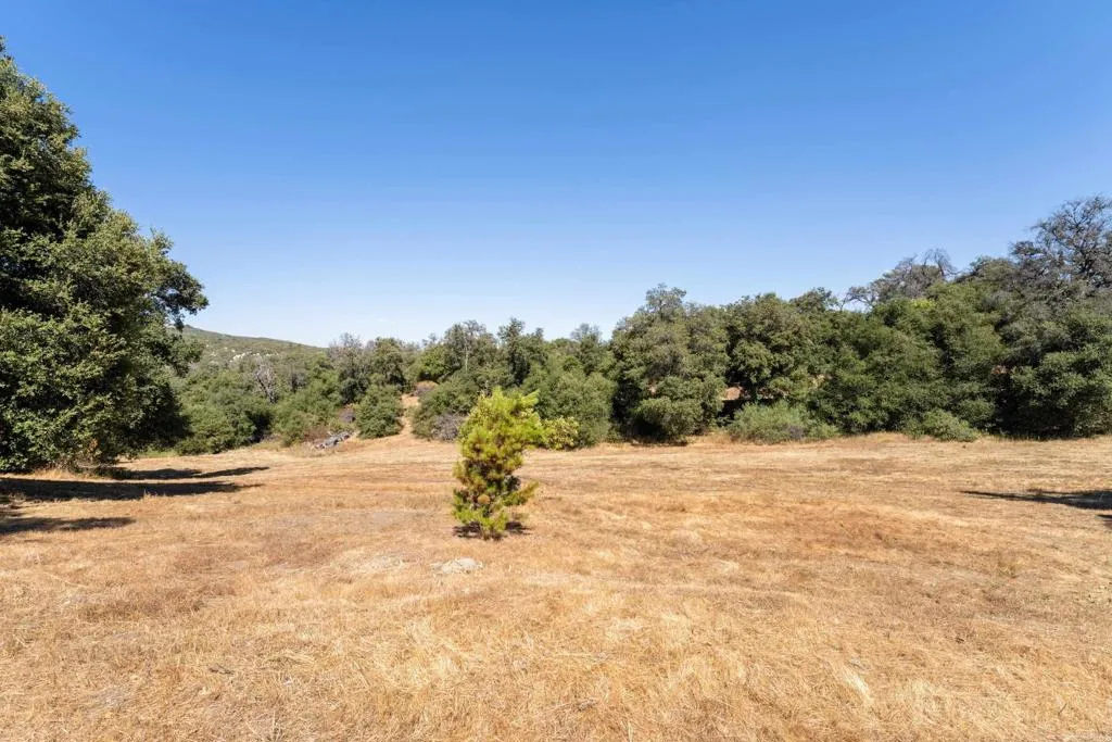 main property photo 52