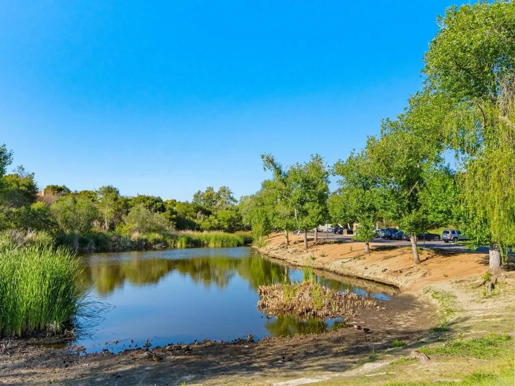 main property photo 54