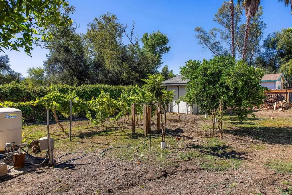 main property photo 69