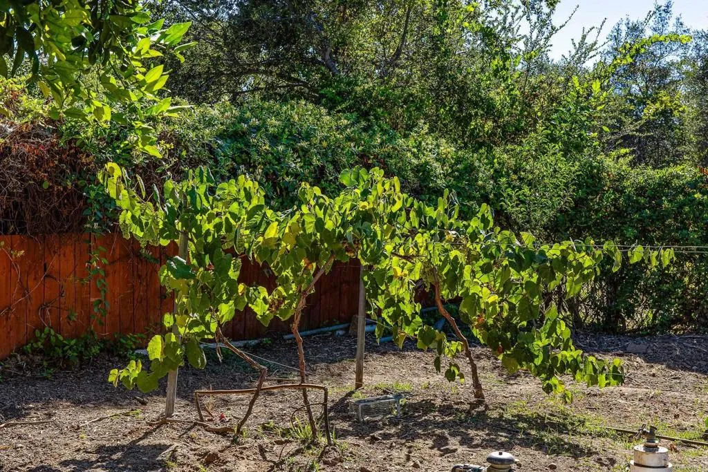 main property photo 70
