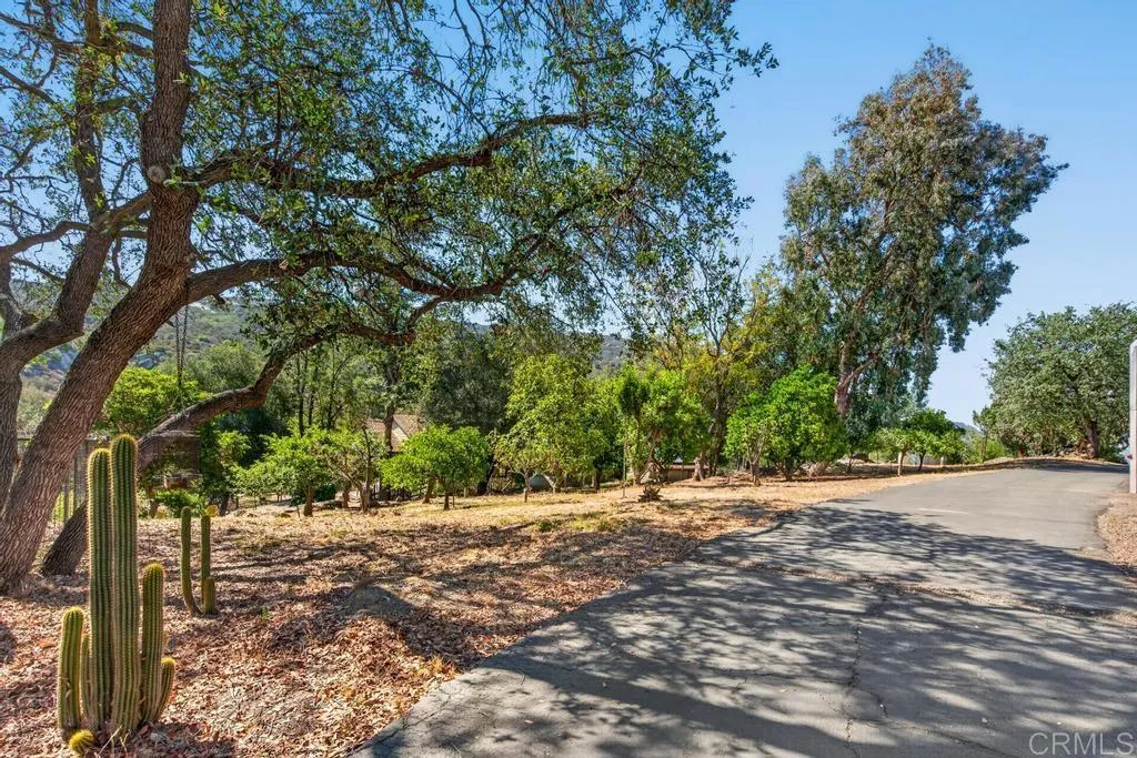main property photo 49