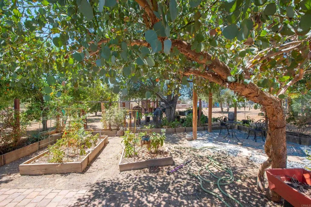 main property photo 38