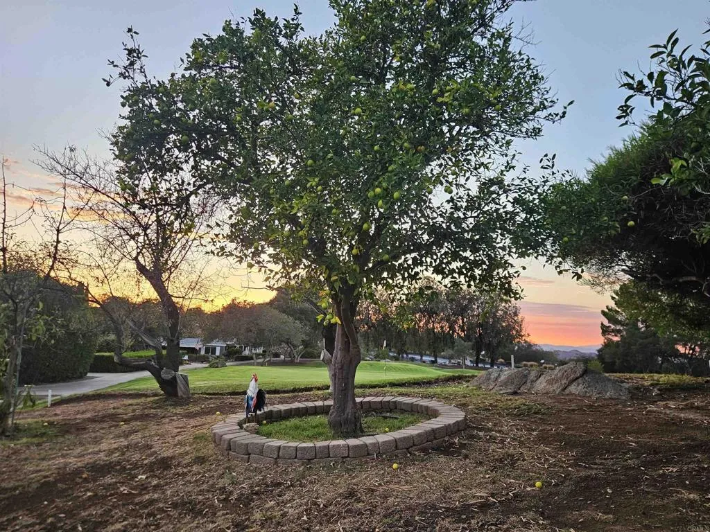main property photo 41