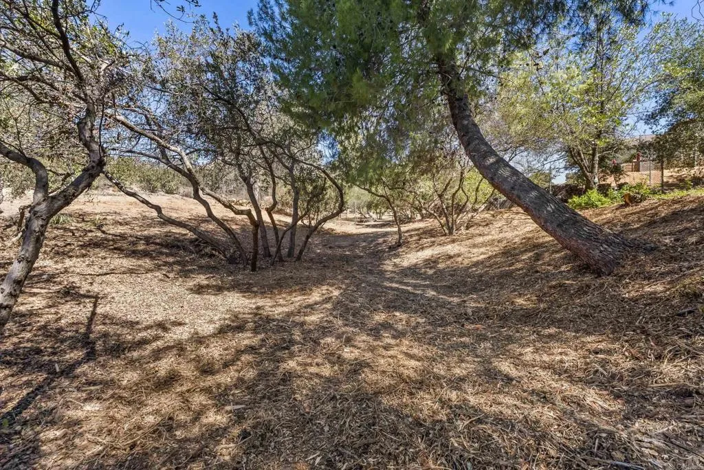 main property photo 59
