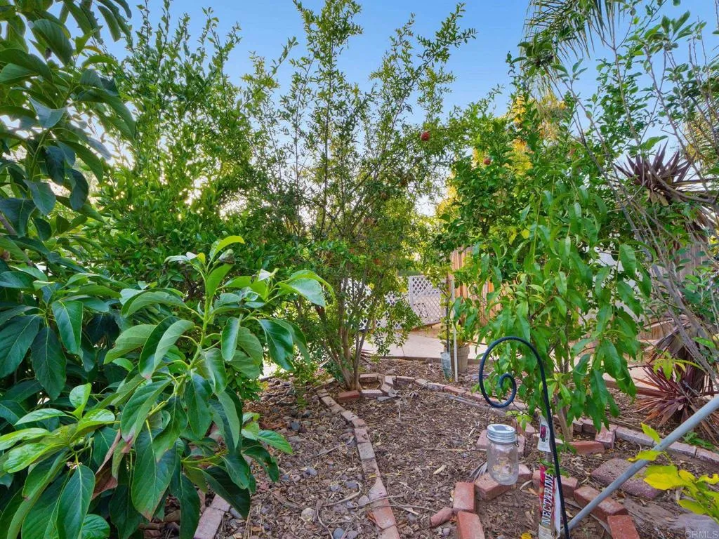 main property photo 60