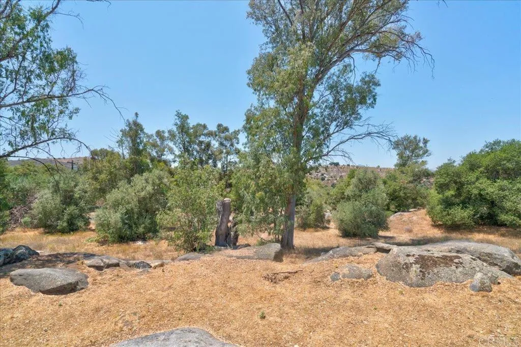 main property photo 46