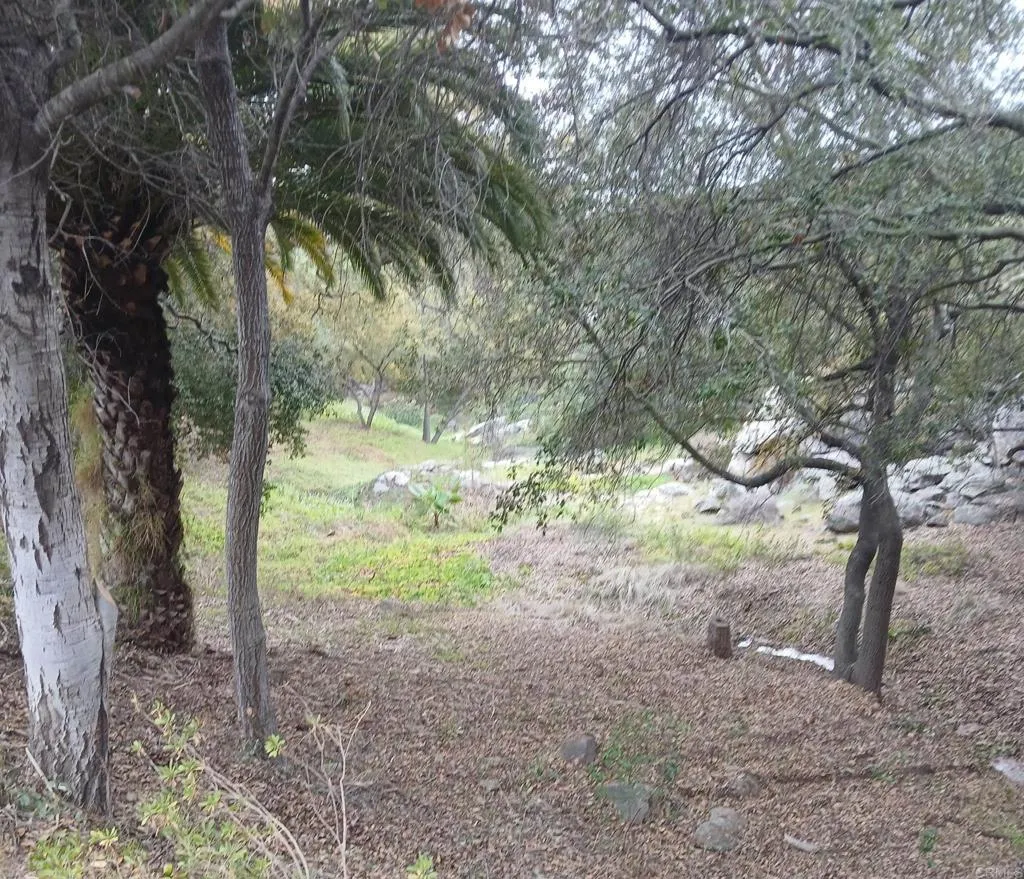 main property photo 43