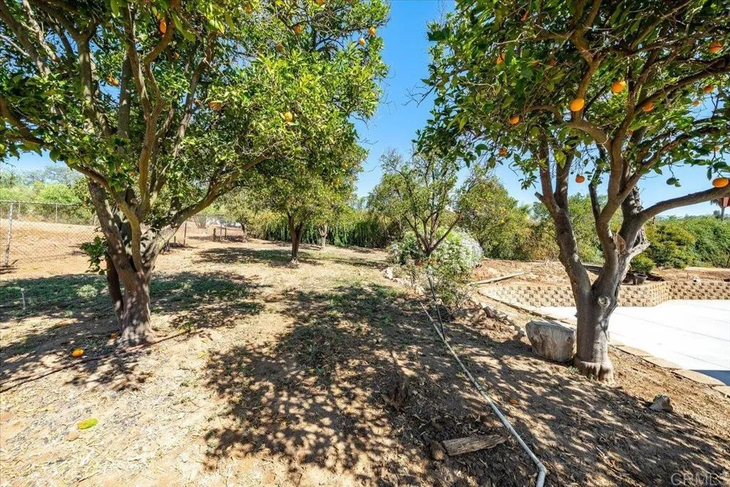 main property photo 53