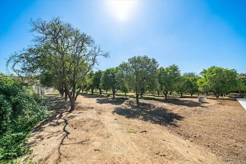 main property photo 56