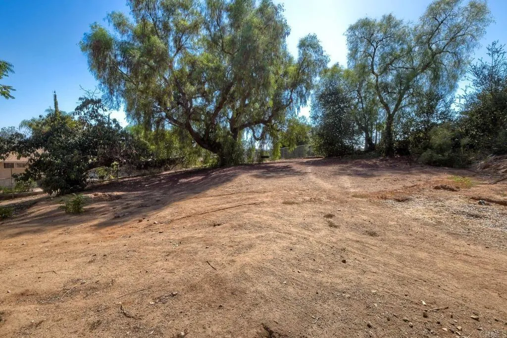 main property photo 59