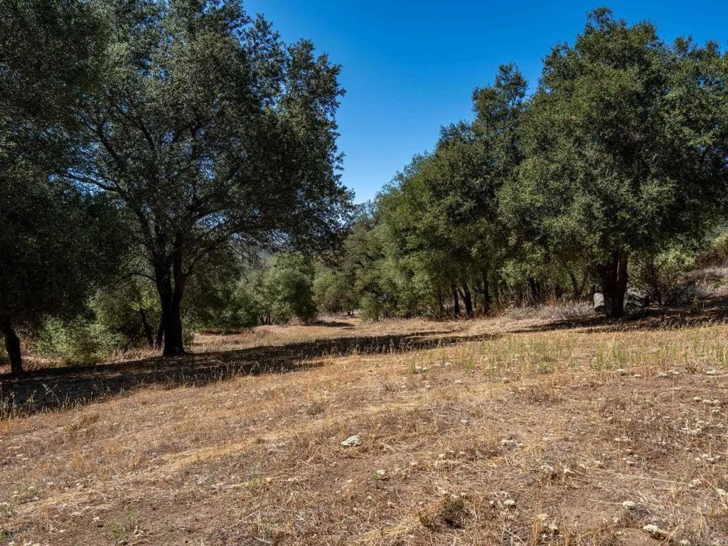 main property photo 52