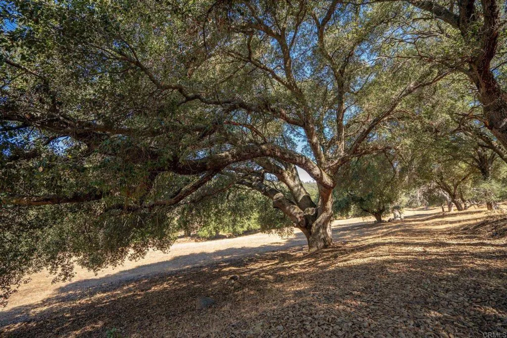 main property photo 55