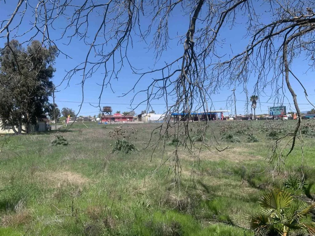 main property photo 5