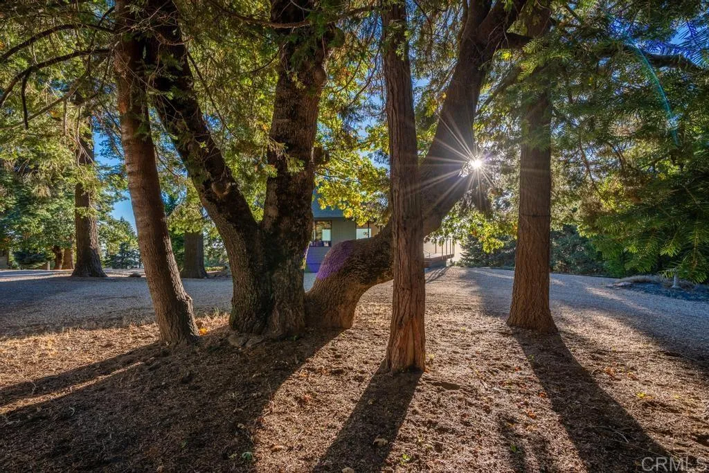 main property photo 55