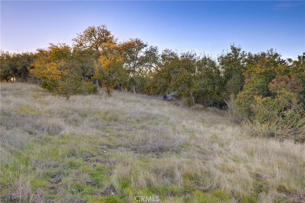 main property photo 35