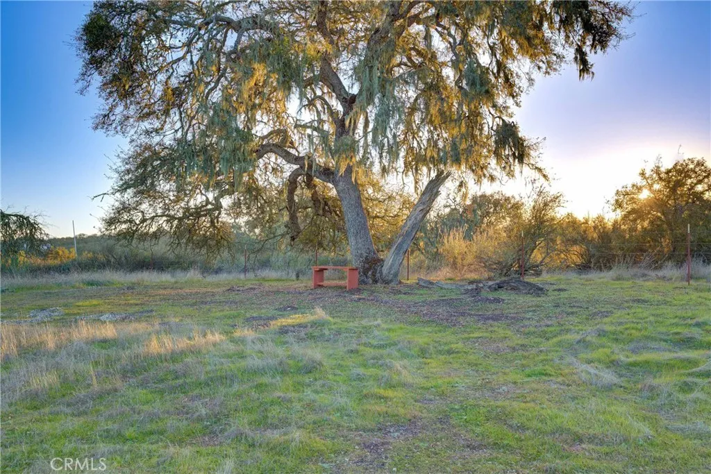 main property photo 40