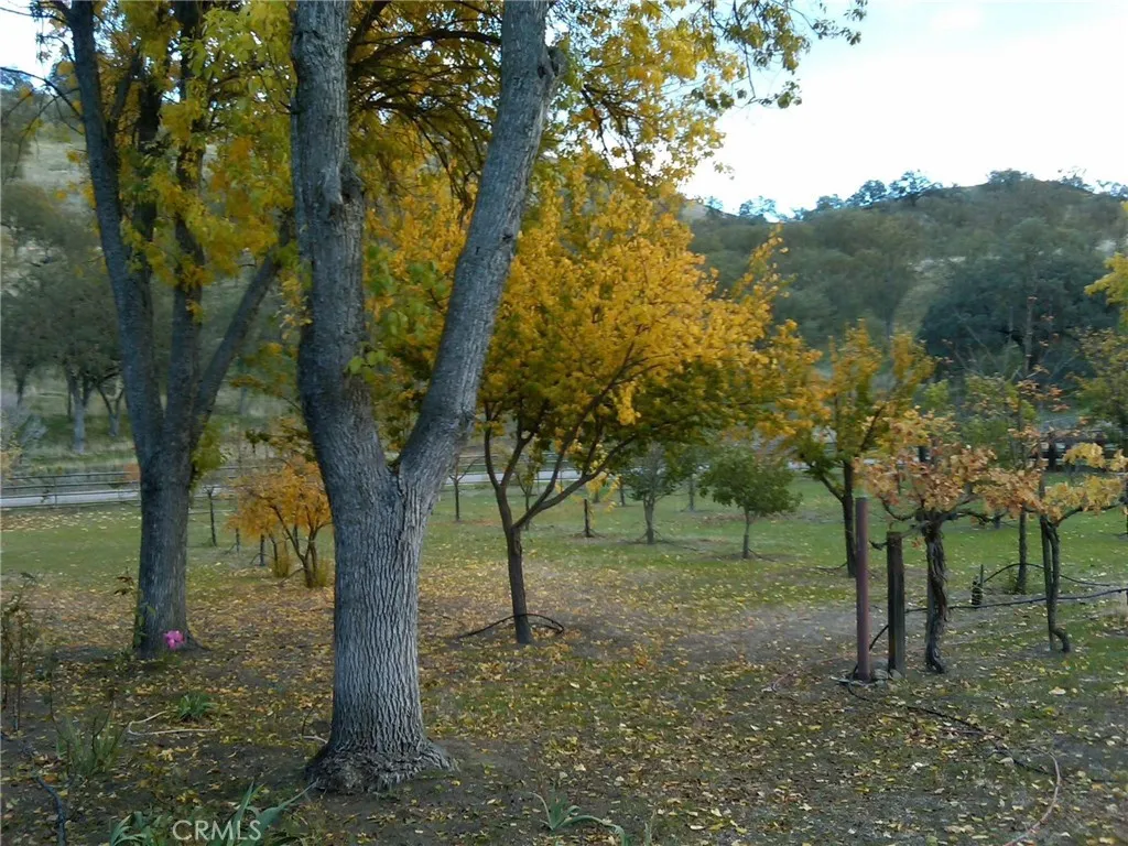 main property photo 37
