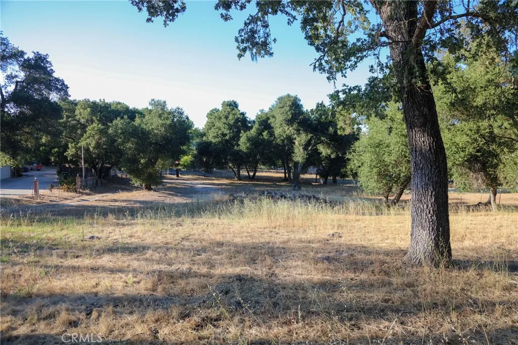 main property photo 7