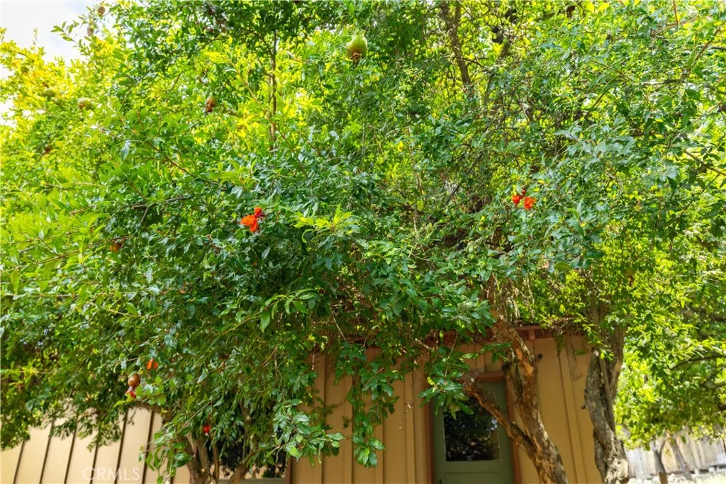 main property photo 54