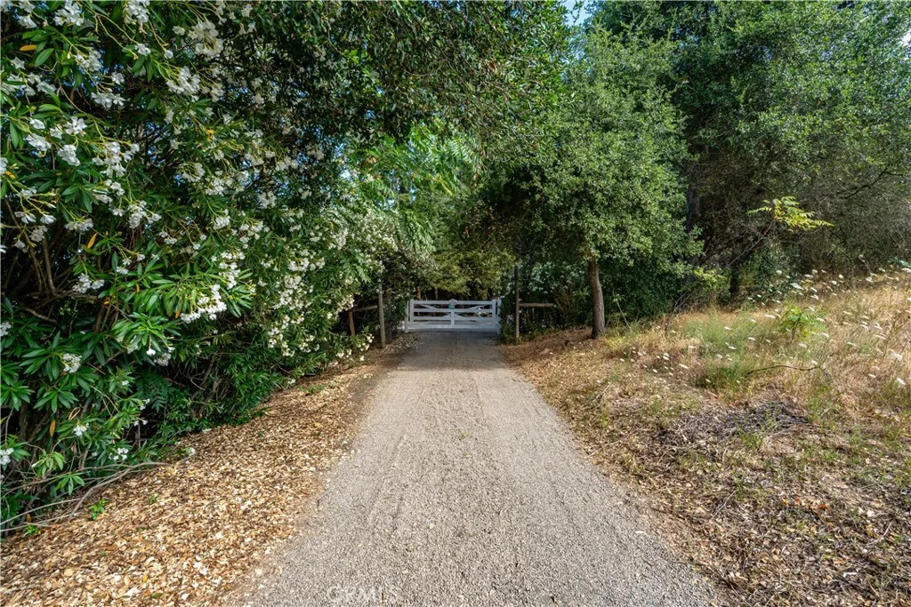 main property photo 54
