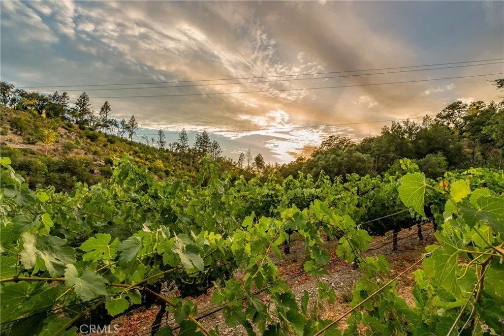 main property photo 60