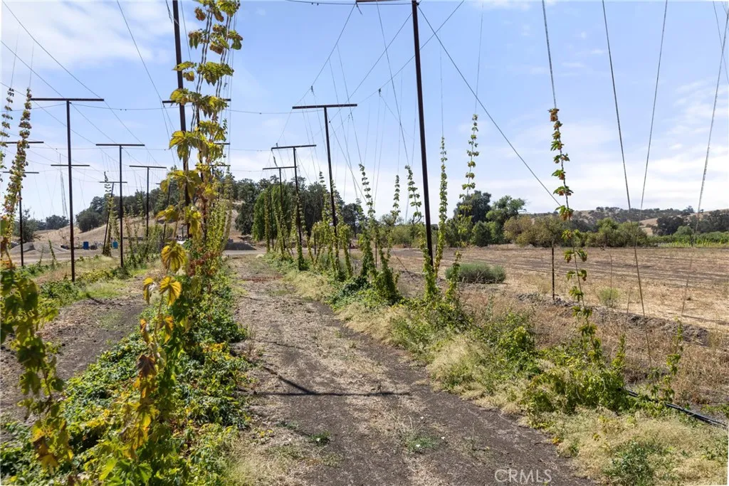 main property photo 30