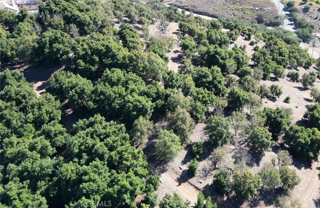 main property photo 57