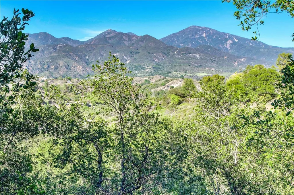 main property photo 74