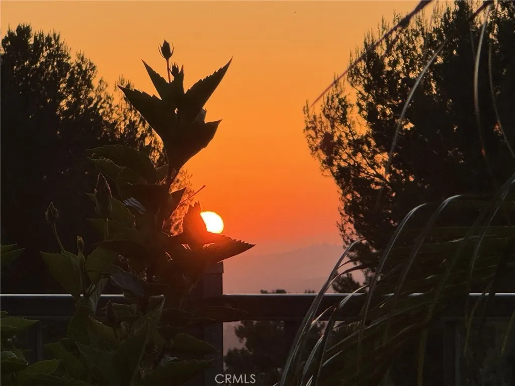 main property photo 61