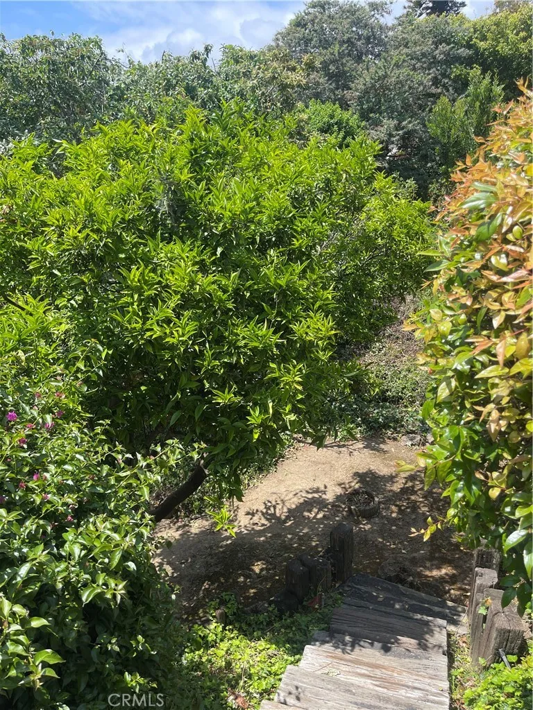 main property photo 56