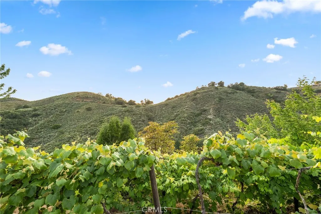 main property photo 64