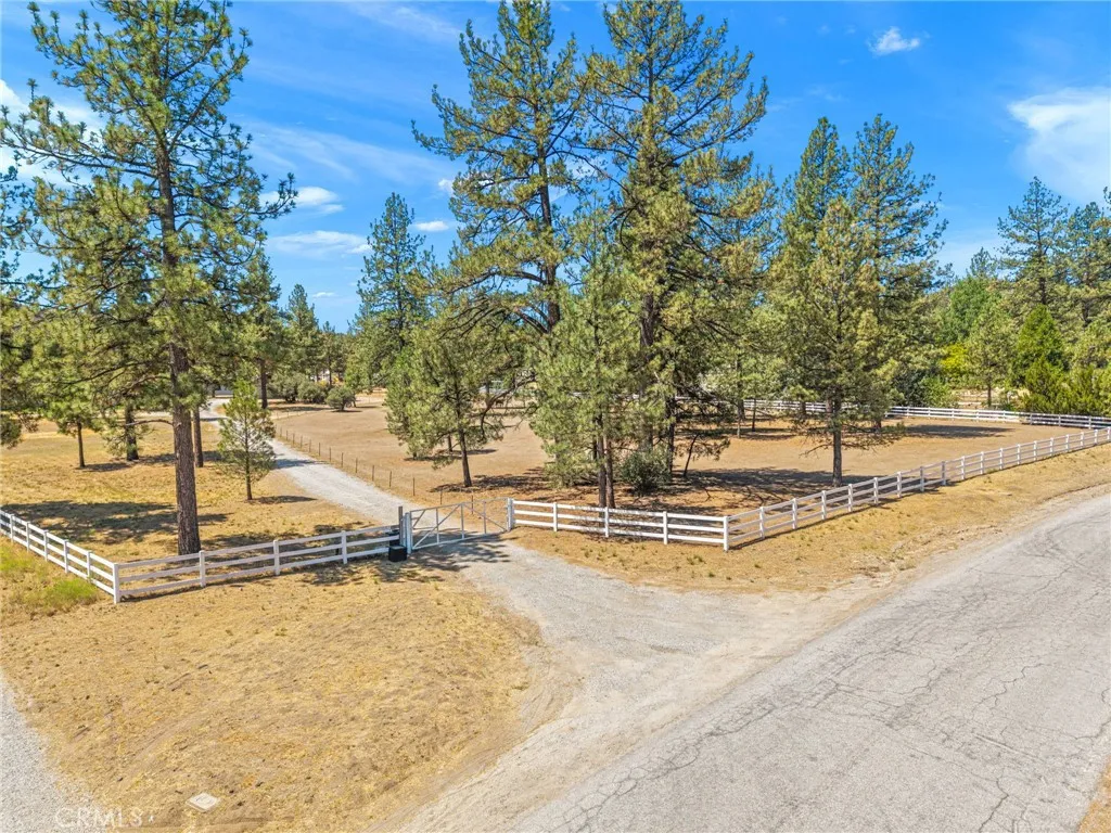 main property photo 69