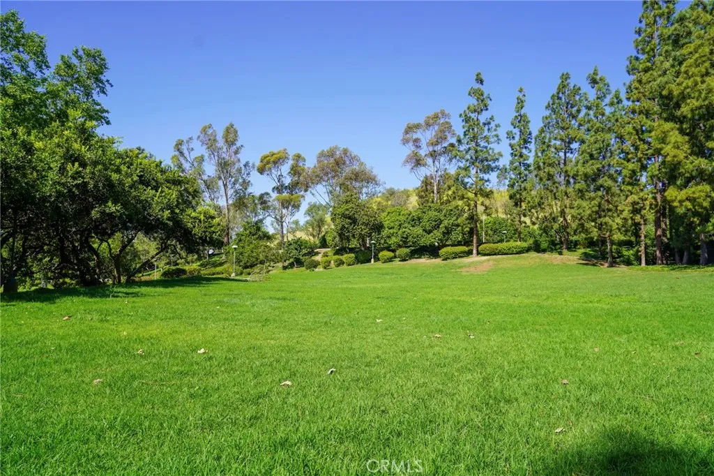 main property photo 58