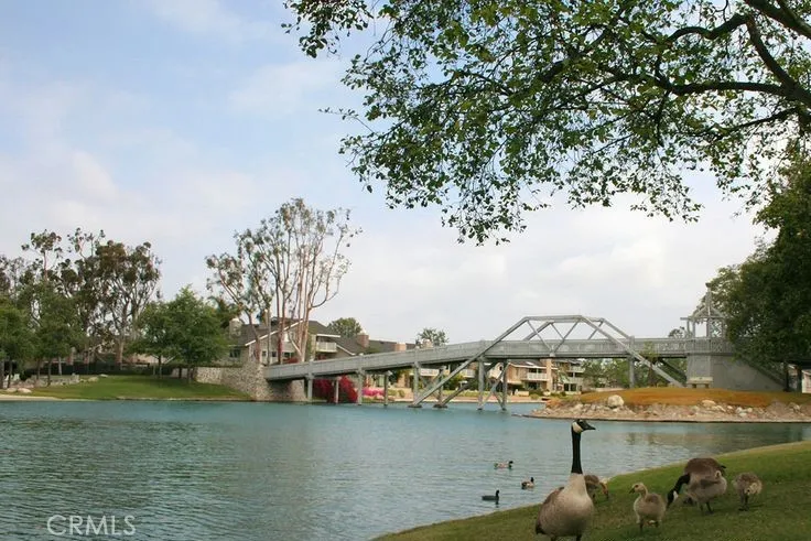 main property photo 67