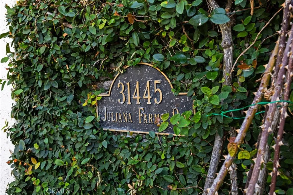 main property photo 61