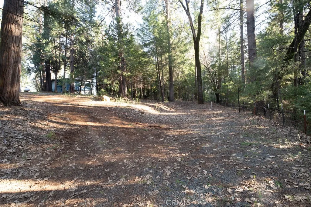main property photo 37