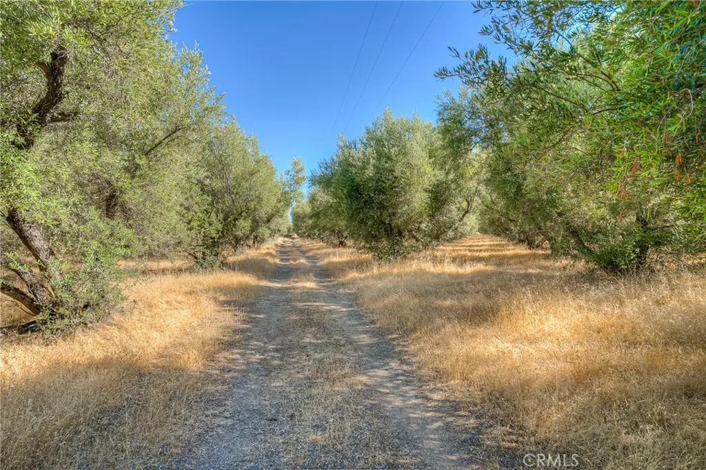 main property photo 44