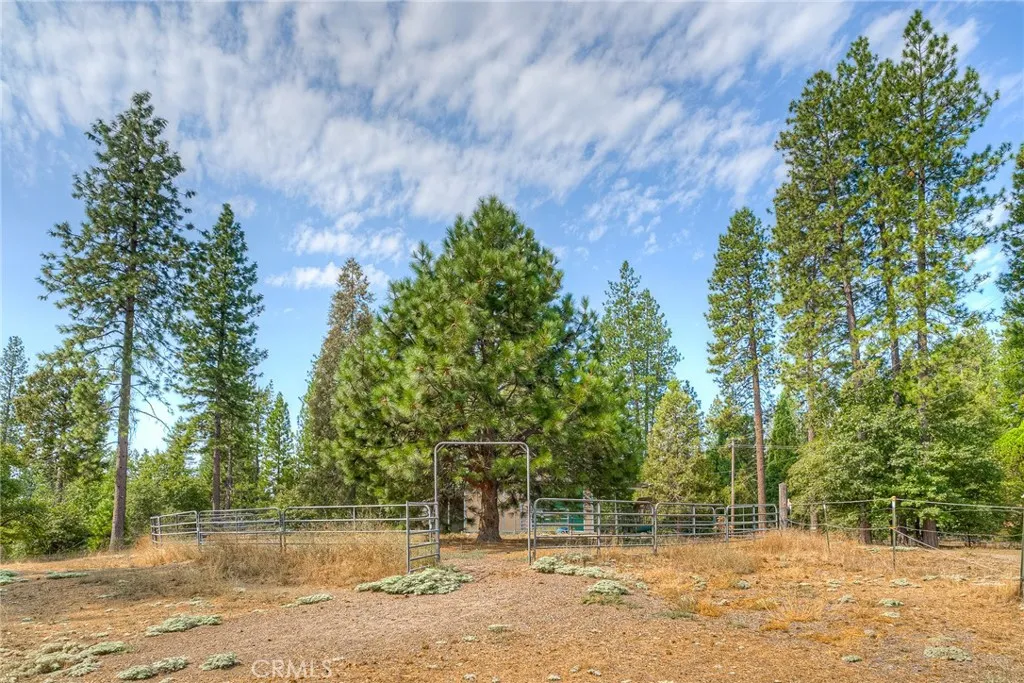 main property photo 61