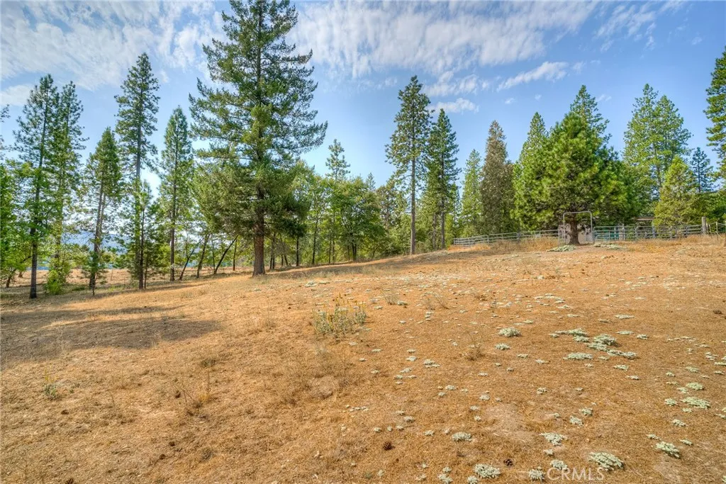 main property photo 62