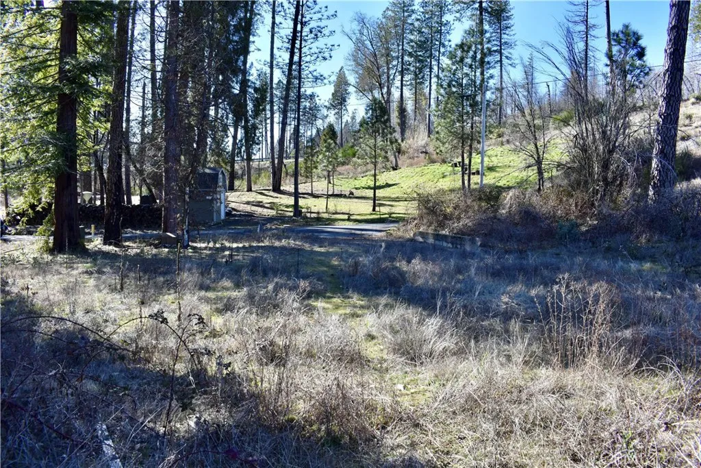 main property photo 29